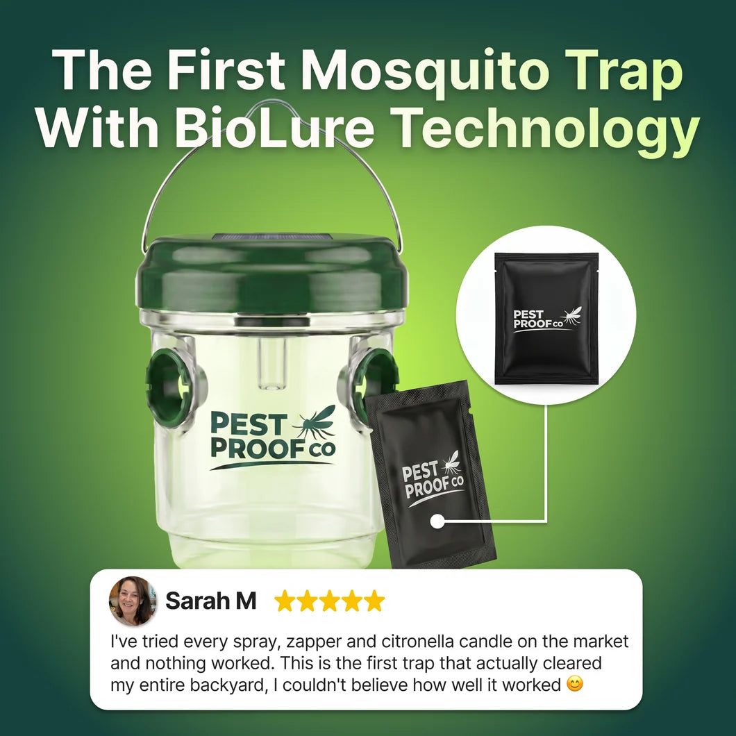BiteShield Mosquito Trap Set